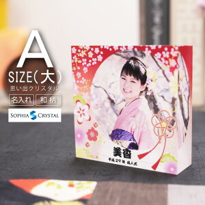 vo NX^ DW-22AC() ʐ^ J[ ʈ l ܎O 753 Ǝ w a \   \ LOi IWi Mtg v[g j O L[u tHg 