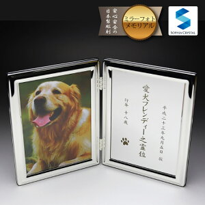 ybg ʔv tHgt[ FP-1 ʐ^ ~[ ybgA tHg e  茳{ d V 49 ̋   KX   L  CR nX^[ .