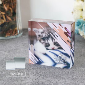 ペット 思い出 クリスタル KP-25-gift 写真 うちの子記念フォト ペットメモリアル 犬 猫 うさぎ インコ