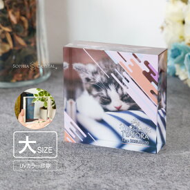ペット 思い出 クリスタル KP-25A-gift（大） 写真 うちの子記念フォト ペットメモリアル 犬 猫 うさぎ インコ