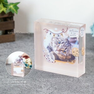 ͂ ybg vo NX^ KP-25A-p ʐ^ J[ a ʐ^ tHgt[ ybgA  L  CR