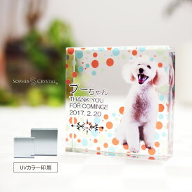 ペット 位牌 思い出 クリスタル KP-25 写真 カラー 両面印刷 誕生石 フォト 遺影 仏具 供養 ペットメモリアル お位牌 手元供養 仏壇 葬儀 49日 虹の橋 名入れ 彫刻 キューブ ガラス かわいい キラキラ きれい 犬 猫 うさぎ インコ ハムスター 小動物.