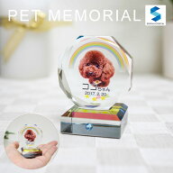 ペット 位牌 KP-27 写真 カラー 両面印刷 誕生石 フォト 遺影 仏具 供養 ペットメモリアル お位牌 手元供…