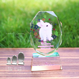 ペット 位牌 クリスタル ガラス KP-2 写真 カラー 両面印刷 誕生石 レーザー 彫刻 フォト 遺影 仏具 供養 ペットメモリアル お位牌 手元供養 仏壇 葬儀 49日 虹の橋 思い出 名入れ ダイヤ かわいい キラキラ きれい 犬 猫 うさぎ インコ 小動物.