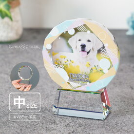 ペットメモリアル KP-4B-gift(中) 写真 カラー ペット クリスタル ガラス かわいい キラキラ 犬 猫 うさぎ インコ