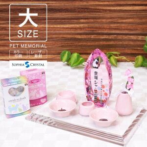 ybg ʔv Zbg KP-10-ASETijNX^ ʐ^ J[ ʈ a [U[  tHg e { ybgA  茳{ d V 49 ̋ vo ł̂