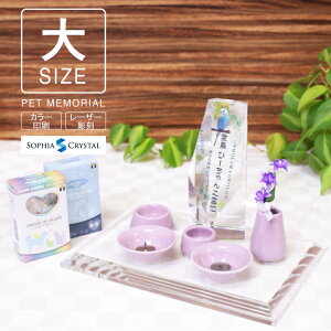 ybg ʔv Zbg KP-14-ASETijNX^ ʐ^ J[ ʈ a [U[  tHg e { ybgA  茳{ d V 49 ̋ vo ł̂