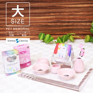 ybg ʔv Zbg KP-8-ASETijNX^ ʐ^ J[ ʈ a [U[  tHg e { ybgA  茳{ d V 49 ̋ vo ł̂