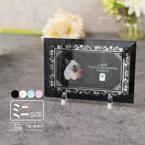 ybg ʔv Ki PSP-8E-galmi~jj ʐ^ J[ a tHg e  { KX ybgA ʔv 茳{ d V 49 ̋ vo  킢   L 