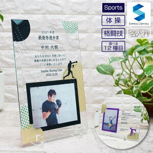 tHgt[ ̑ iZ DFS-1-sp3  ʐ^ EFCgteBO  _ V̑ XP[g{[h eRh[ g| tFVO uCN_X {NVO XO