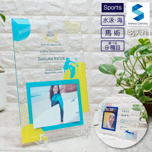 tHgt[ j C np DFS-1-sp4  ʐ^ A[eBXeBbNXC~O Jk[ j T[tB  Z[O {[g э v[ VNiCYhXC~O LO