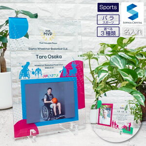 tHgt[ pX|[c DFS-1-sp6  ʐ^ Ԉ֎q uCh ` ` Z A[`F[ S[{[ TbJ[ ] ˌ j ejX oXPbg{[ oh~g 