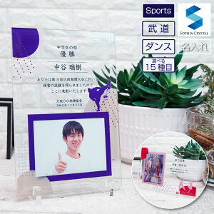 tHgt[  _X DFS-1-sp9  ʐ^ A[XO C GArNX | Z_X  Ќ_X o `A[fBO og ȂȂ {@ oG {f