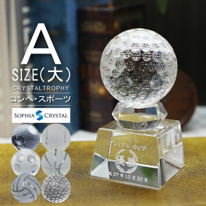 NX^ {[ gtB[ SB-1A()  LOi TbJ[ 싅 StRy z[C o[{[ oXPbg{[ n \ X|[c Cxg D v[g Mt