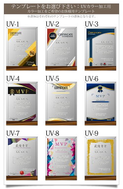 【名入れ無料記念品】名入れ表彰楯退職祝い表彰状表彰盾感謝クリスタルクリスタルトロフィープレゼントトロフィ周年記念DSP-2ギフト【楽ギフ_名入れ】【名入れ記念品】