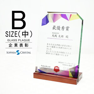 トロフィー ガラス 盾 DSP-3B(中) 名入れ 記念品 表彰状 表彰 盾 表彰楯 卒業 感謝 退職記念 周年記念 創立記念 ゴルフコンペ ホールインワン スポーツ大会 イベント 優勝 トロフィ プレゼント