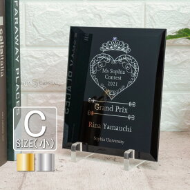 トロフィー ガラス 盾 ガレナ PS-8C-gal(小) 名入れ 表彰 盾 楯 表彰状 卒業 感謝 退職記念 周年記念 創立記念 ゴルフコンペ ホールインワン スポーツ大会 イベント 優勝 プレゼント ギフト Galena