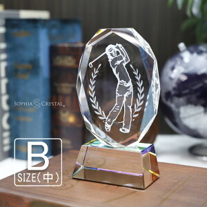 gtB[ St NX^gtB[ SS-1B()  IWi LOi \ ސELO NLO nLO StRy z[C X|[c Cxg D v[g Mt