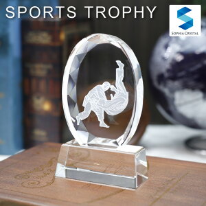 �X�|�[�c �g���t�B�[ �_�� 811(ASS-9) �N���X�^���g���t�B ������ �I���W�i�� �L�O�i �\���� ���c�L�O ���ƋL�O �D�� �v���[���g �M�t�g