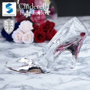 Vf KX̌C NX^ CH-1 nCq[ j v|[Y ̓ j Mtg v[g 蕨 LOi a LOi IWi  WG[.