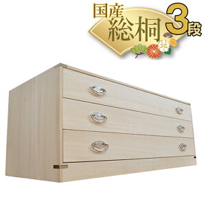 m5OFFN[|n  | 3i ˒\y ˂ 99cm 39cm { ˔ y  ߑP[X `FXg  Y ˃^X ˒\y [ a a\y \y a ˃_X 