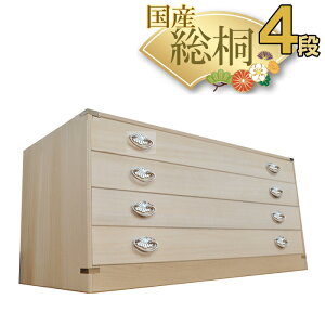  | 4i@˂ 99cm s44cm 45cm { ˔ y  ߑP[X `FXg  Y ˃^X ˒\y [ a a\y \y a ˃_X [ o 