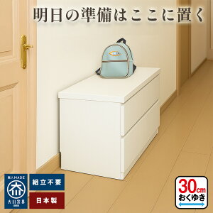 ^`FXg 2i | LɒuĖYꕨh~ 45cm s30cm y Yꕨh~ x` L[ 45 x` { ꎞu c ̏ x`[ ^ `FXg i