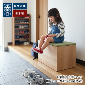  | 60cm×s30cm×40cm x` x` ؐ [  y ᔠ { x` [x` [ փx` a_ Y Ƌ Xc[ ֎[ RpNg 