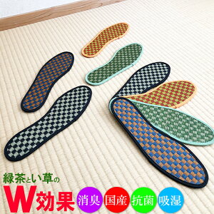 m}\5OFFN[|n C\[ C | ~ TCY 22cm`27.5cm Y Β JeL y {  L@Rہ@@݁@tatami@COT@C@av[g 