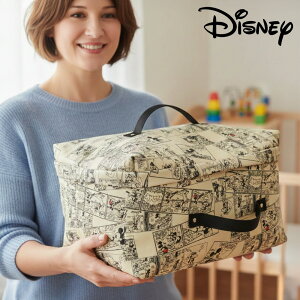 [�X�����z���i��������] �f�B�Y�j�[ �t�@�u���b�N�{�b�N�X | ��38cm �}�U�[�o�b�N DISNEY �y�o�Y�j���a���� �M�t�g �v���[���g �I���c�P�[�X �������ᔠ �f�B�Y�j�[ �~�b�L�[ �t�^�t���@�~�b�L