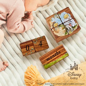 マイルストーンブロック クラシック・プー | 木製 月齢フォト マタニティ ウッドブロック Disney 【 ベビー メモリアル 10ピース ギフトボックス付き 記念 積み木 エイジブロックス キューブ ウッド 記念写真道具 木 赤ちゃん インスタ映え