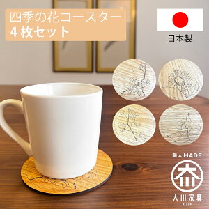 m5%OFFN[|P5{n R[X^[ 4Zbg Rr[ | Y i Ƌ 10cm ԃR[X^[ ؐ y  ی^  ItBX Lb` v[g j 킢 i` L