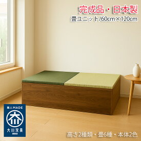 ［エントリーでポイント5倍！］ 小上がり 畳ユニット ベンチ収納 60×120 収納付き 清風 【 小上がり 高床式収納 こあがり 収納 日本製 高床式ユニット畳 デザイン畳 リビング 畳ボックス収納 ロータイプ たたみ 置き畳 高級 組み立て不要 小上がり和室