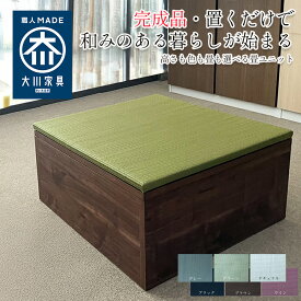 ［エントリーでポイント5倍！］ 小上がり収納 幅60cm 奥行60cm 高さ30cm 日本製 清風 収納付き 【 ベンチ 乗りやすい 高床式ユニット畳 い草 収納 デザイン畳 畳ボックス収納 ロータイプ 畳み たたみ 置き畳 畳ユニット 畳 マットレス畳 フローリング 抗菌 ロータイプ 単独