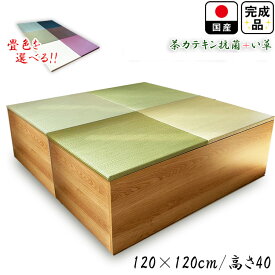 ［エントリーでポイント5倍！］ 開梱可能 幅120cm 奥行120cm 高さ40cm 畳 ユニット 完成品 清風 収納付き 【 ダイニングテーブル 椅子代わり 小上がり 畳 高床式ユニット畳 い草 収納 デザイン畳 リビング ロータイプ 畳み たたみ マット 畳ユニット 畳 収納 毛布収納