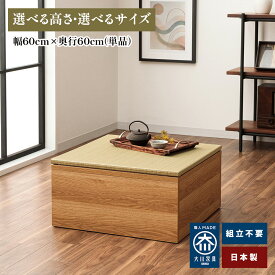 清風 | 幅60cm 奥行60cm 小上がり 収納畳ユニット日本製 収納付き 【 ベンチ 乗りやすい 高床式ユニット畳 い草 収納 デザイン畳 畳ボックス収納 ロータイプ 畳み たたみ 置き畳 畳 マットレス畳 フローリング 抗菌 ロータイプ