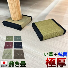 ［エントリーでポイント5倍！］ 幅10cm 奥行10cm 高さ2cm 国産 い草 座卓脚 完成品 敷き畳 単品【へこみ防止 抗菌プラス キズ防止 座卓用 テーブル用 フローリング おしゃれ 座布団 座卓敷 下敷き 小座布団風　床 和室 消臭 カテキン抗菌 畳縁 置物用