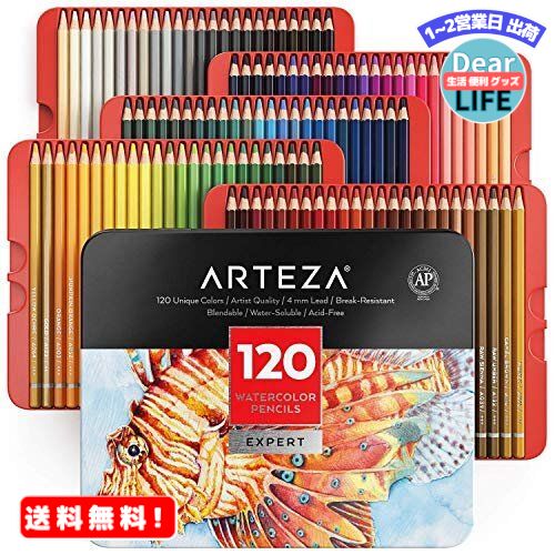 人気急上昇 MR:Arteza Professional Watercolor Pencils Kids Adults 高い素材 for