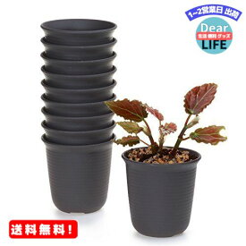 MR:T4U 8CM ミ二植木鉢 プラスチック多肉植物鉢 サボテン鉢 沢山の排水穴付き プランター ミニ観葉植物 ハーブ用 育苗ポットダークブラウン 10個入り室内外用