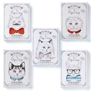 y|CgUPzyŒZ10/2oח\zNice Cats!inJ`j v`Mtg Mtg 񎟉 EFfBO I lC ii mxeB ̑i Z[ ސE  Ԃ Cxg ii Lzq