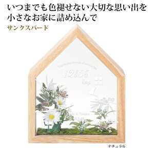 yX[p[SALEzyŒZ12/16zE@TNXo[h@1@i`/AeB[NzCgyev[g I  ez