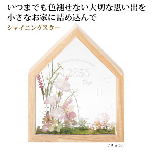 yX[p[SALEzyŒZ12/16zE@VCjOX^[@1@i`/AeB[NzCgyev[g I  ez[ 