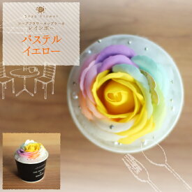 ソープフラワー カップケーキ（レインボー）アレンジメント フレグランス.シャボン.アロマ.造花.バラ.ギフト.記念日.誕生日.結婚.発表会.送別.入学.卒業.退職.お見舞.お祝.内祝.お彼岸.お花.スイーツ.お供え..成人式.お中元.敬老の日.感謝.母の日
