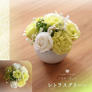 �y�c�Ɠ�13�����������o�ׁz�\�[�v�t�����[ �|�b�g�A�����W�����g �t�����[POT.���E���h.�t���O�����X�t�����[.�V���{��.�A���}.����.�v���U�[�u�h�t�����[.�o��.���[�Y.�M�t�g.�L�O��.�a��