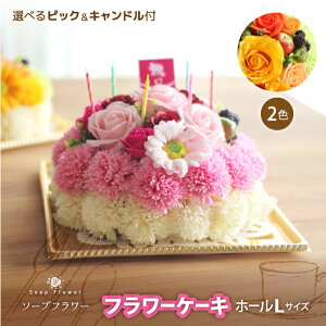 \[vt[P[Liz[P[LjL7 AWg tOXt[.V{.A}..o.t[Mtg.LO.a..\.w..ފ..j.j