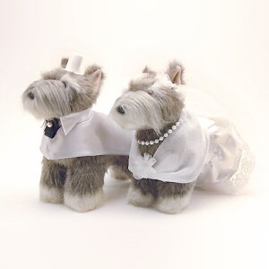 EFJhbO@~j`AEViEU[ EFJh[ EFfBO  uC_  A 킢 ʂ