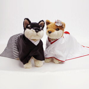 ãEFJhbO@Č EFJh[ EFfBO  uC_  A 킢 ʂ