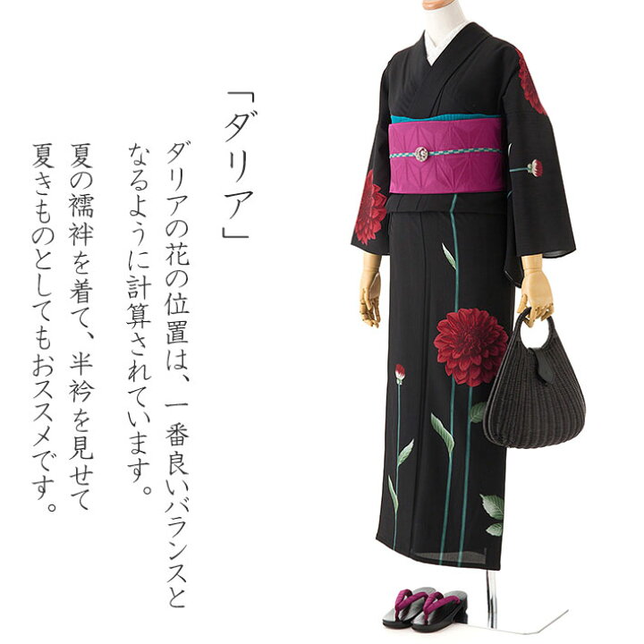 楽天市場】【10%OFFクーポン配布中】撫松庵 ダリア 黒 黒地 セオ 