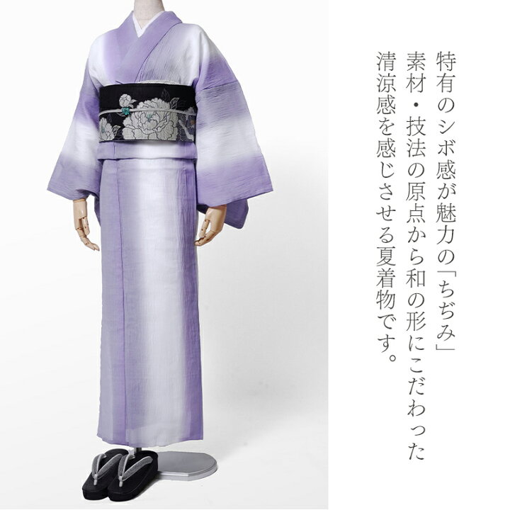 楽天市場】近江のちぢみ 着物 美術サロン 単衣 グラデーション 紫 