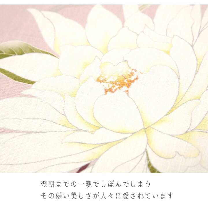 楽天市場】京袋帯 WAKKA 麻 月下美人 花 夏帯 ピンク お太鼓 一重太鼓 